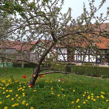 Pension Toepferhof Bad Berka Eksteriør billede